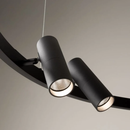 Подвесной светильник Maytoni MOD102PL-L42BK