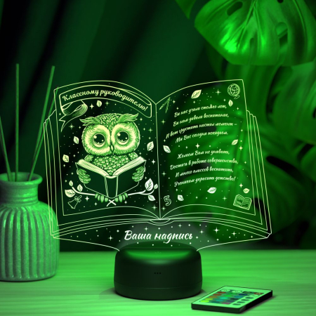 3D светильник  Светильник "Книга с совой"