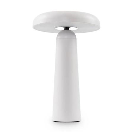 Аккумуляторный светильник Freya FR6109TL-L4W