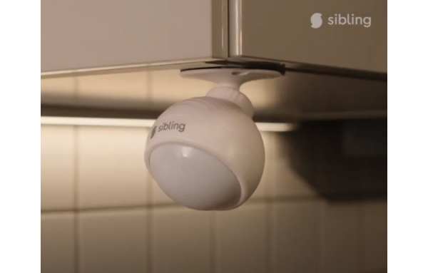 Датчик движения Sibling Powernet-PIR