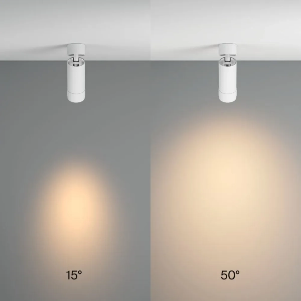 Потолочный светильник Technical C055CL-L12W3K-Z-W