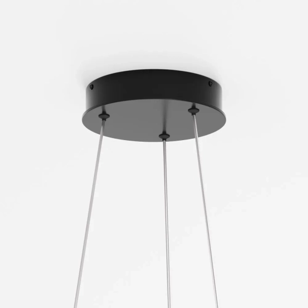 Подвесной светильник Maytoni MOD058PL-L22BK