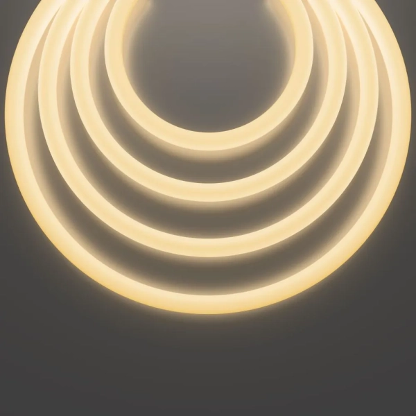 Гибкий неон Led Strip 20306