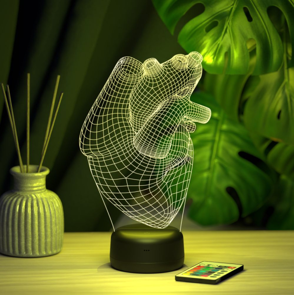 3D светильник  Светильник "Анатомическое сердце"