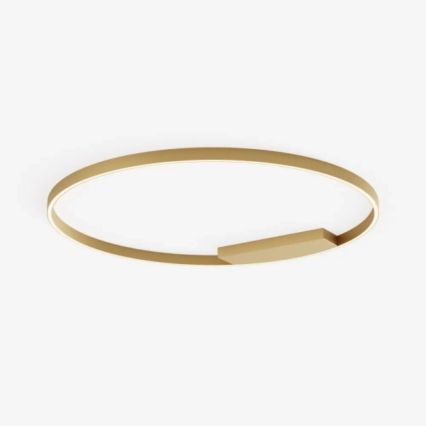 Потолочный светильник Maytoni MOD058CL-L65BSK