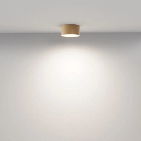 Потолочный светильник Technical C032CL-12W4K-RD-MG