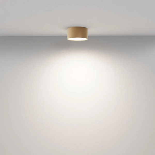 Потолочный светильник Technical C032CL-12W4K-RD-MG