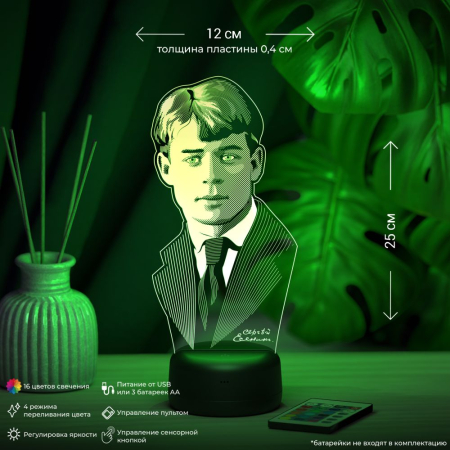 3D светильник  Светильник "Есенин"