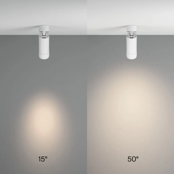 Потолочный светильник Technical C055CL-L12W4K-Z-W