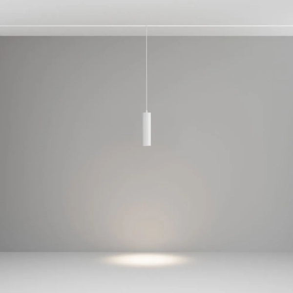 Трековый подвесной светильник Technical TR041-2-12W4K-W