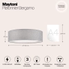 Потолочный светильник Maytoni MOD613CL-04GR