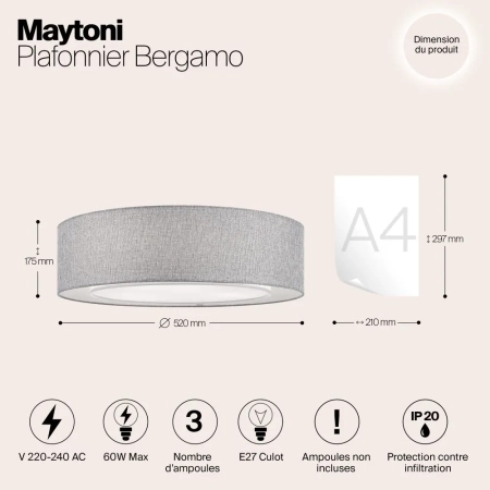 Потолочный светильник Maytoni MOD613CL-04GR