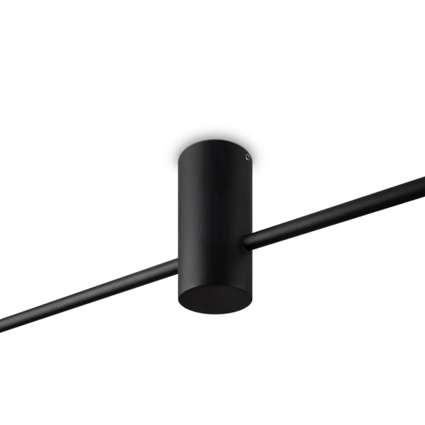 Потолочный светильник Freya FR5363CL-02B1