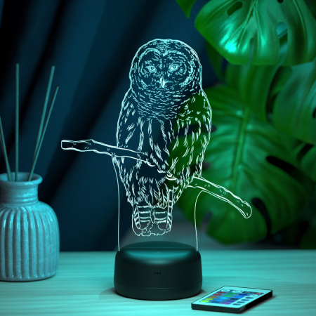 3D светильник  Светильник "Хищная сова"