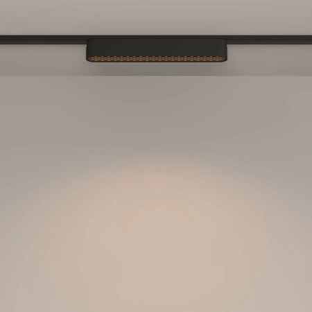 Трековый светильник Technical TR084-1-12W3K-B