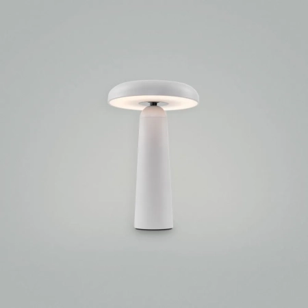Аккумуляторный светильник Freya FR6109TL-L4W