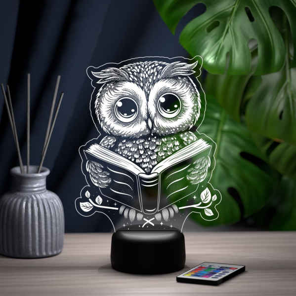 3D светильник  Светильник "Сова с книгой"