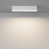 Потолочный светильник Technical C068CL-20W3-6K-W