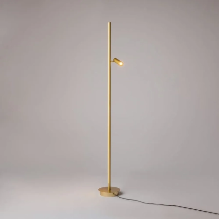 Напольный светильник (торшер) Maytoni MOD395FL-L28BS3K