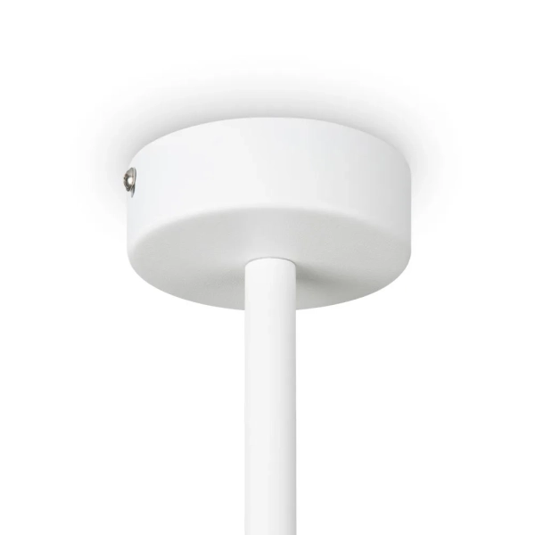 Потолочный светильник Freya FR5363CL-06W