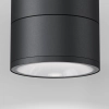 Потолочный светильник Outdoor O310CL-L12GF3K