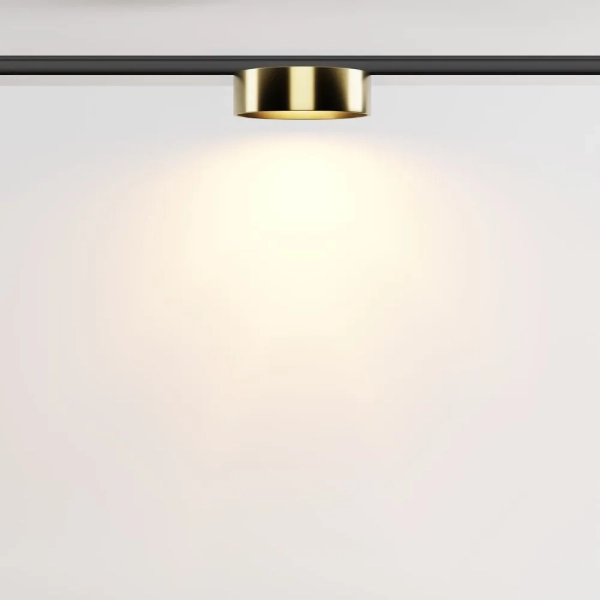 Трековый светильник Technical TR189-1-12W2.7K-BBS