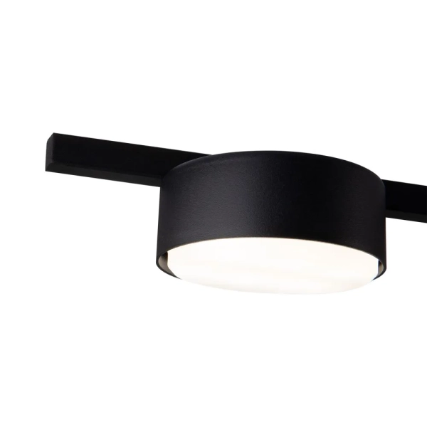 Потолочный светильник Freya FR5363CL-05B