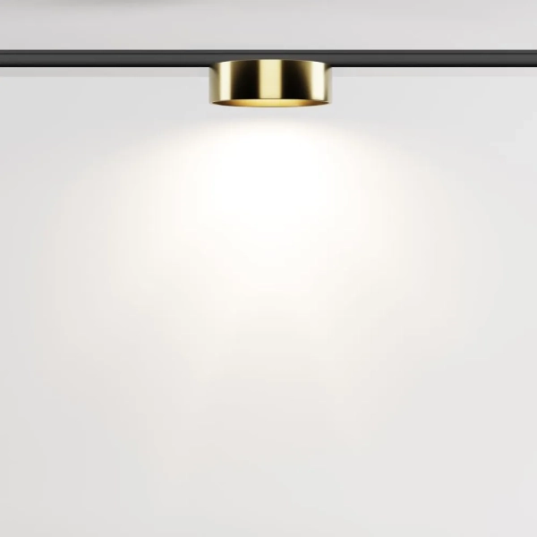 Трековый светильник Technical TR189-1-12W4K-BBS