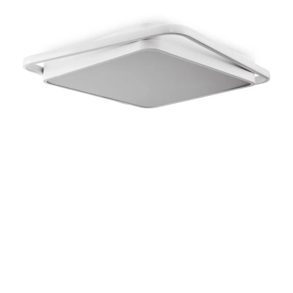 Потолочный светильник Freya FR10030CL-L88W