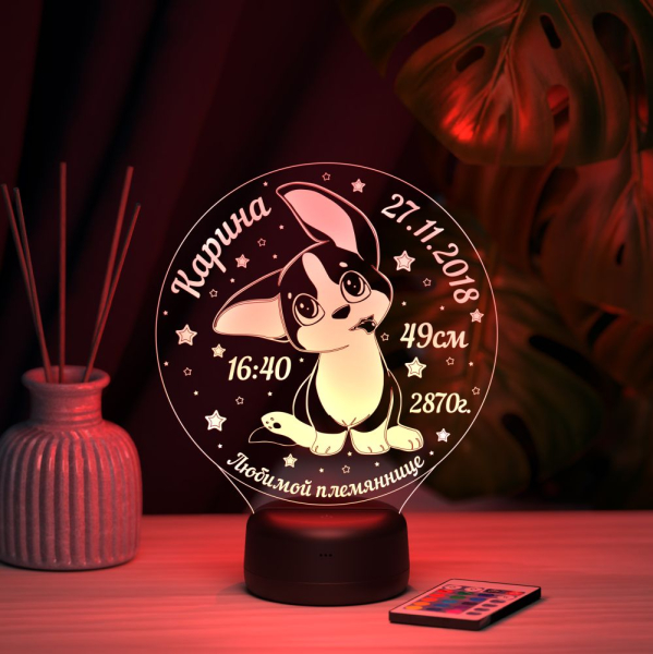 3D светильник  Ночник - Метрика с собачкой