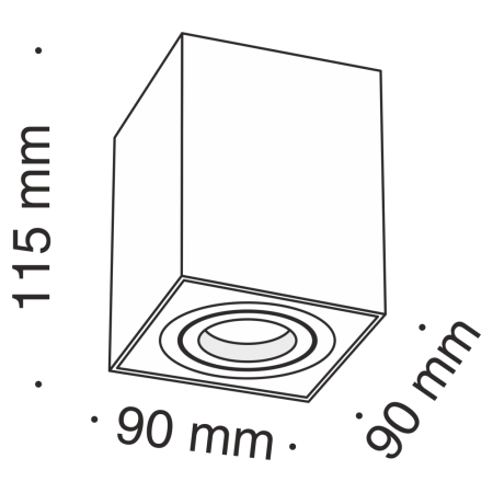 Потолочный светильник Technical C017CL-01S