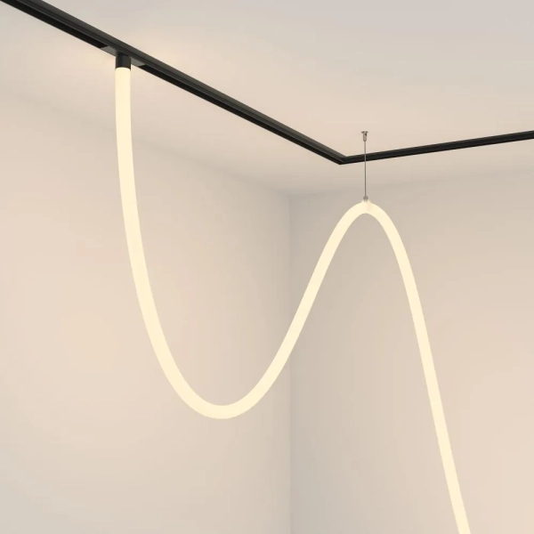 Трековый подвесной светильник Technical TR101-2-100W3K-B