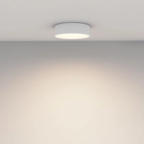 Потолочный светильник Technical C032CL-24W3K-RD-W