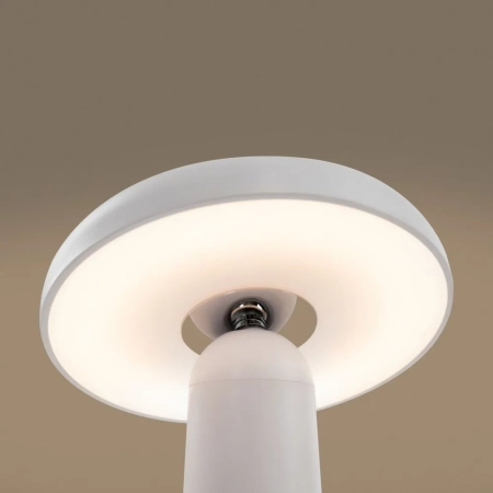 Аккумуляторный светильник Freya FR6109TL-L4W