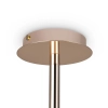 Потолочный светильник Freya FR1010CL-08G