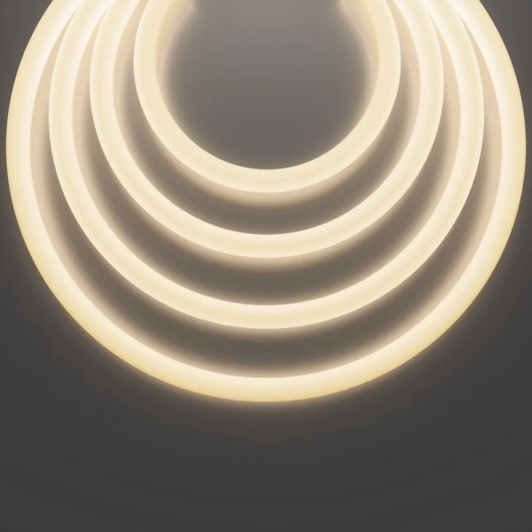 Гибкий неон Led Strip 433001