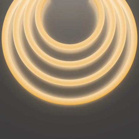 Гибкий неон Led Strip 20300