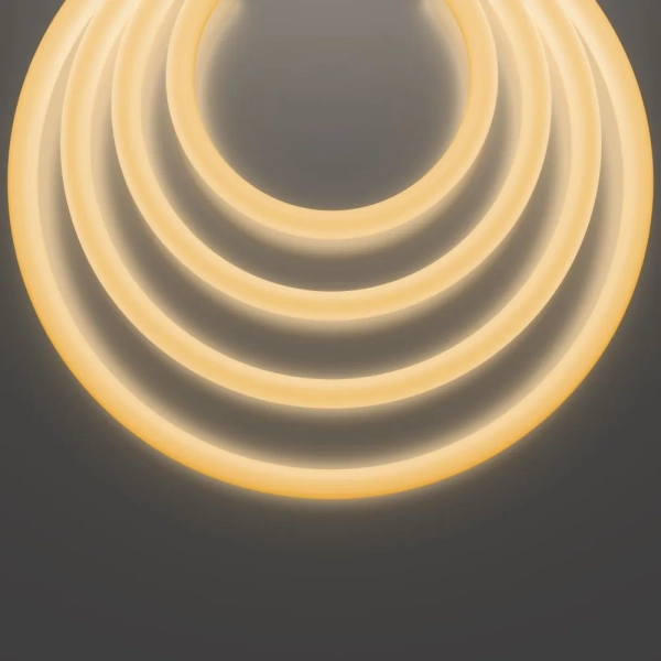 Гибкий неон Led Strip 20300