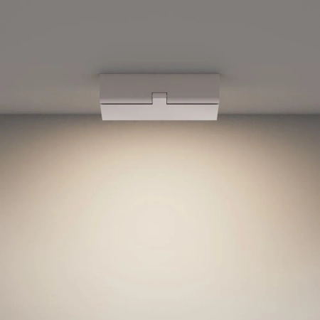 Потолочный светильник Technical C133CL-12W4K-W