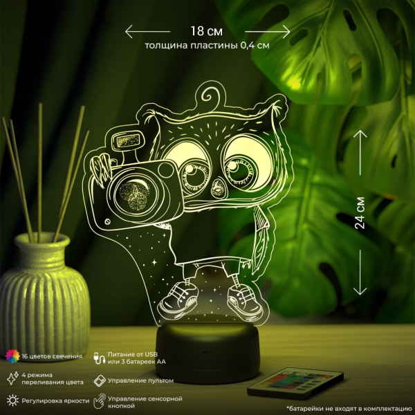 3D светильник  Светильник "Сова с фотоаппаратом"
