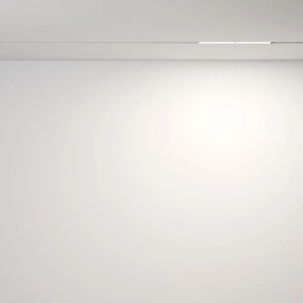 Трековый светильник Technical TR106-2-12W4K-W