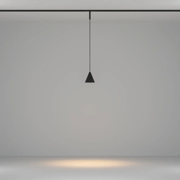 Трековый подвесной светильник Technical TR182-1-5WTW-M-B