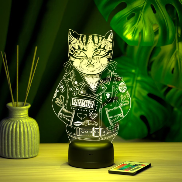 3D светильник  Светильник "Кот в куртке"