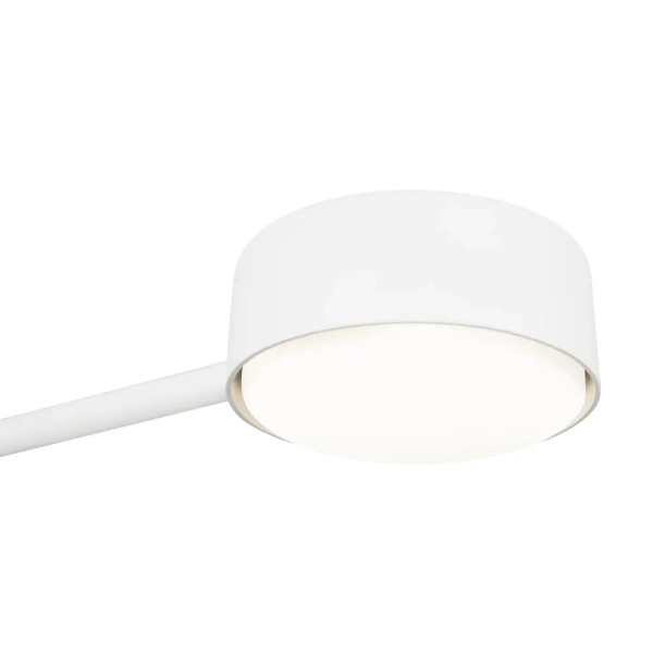 Потолочный светильник Freya FR5363CL-02W1