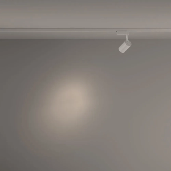 Трековый светильник Technical TR003-1-6W4K-S-W