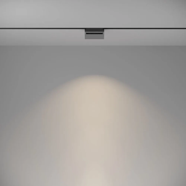 Трековый светильник Technical TR013-2-10W4K-B