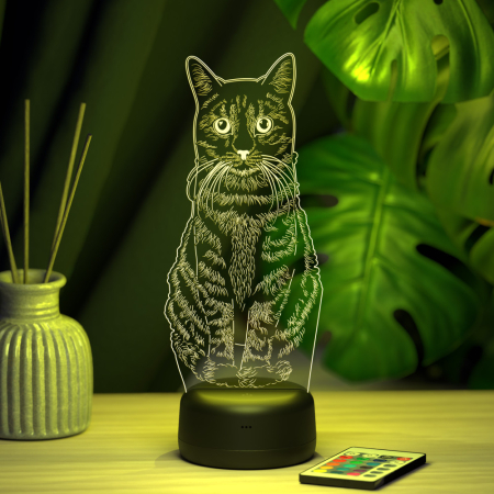 3D светильник  Светильник "Кот"