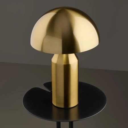 Настольный светильник Freya FR5218TL-01BS