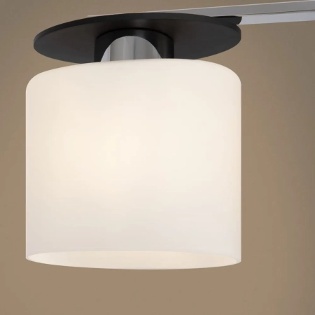 Потолочный светильник Freya FR5101-CL-03-CN