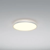 Потолочный светильник Maytoni MOD426CL-L43WK1